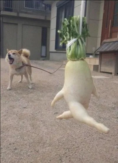 Tchez de ne pas tre trop simple ... d'esprit !