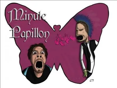  quelle vertu exhorte l'expression  Minute, papillon !   ?