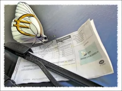 Qu'appelle-t-on communment un papillon ?