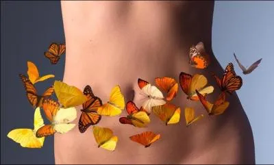 C'est quoi,  papillonner  ?