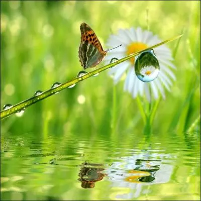  Natre avec le printemps, mourir avec les roses, Sur l'aile du zphyr nager dans un ciel pur, Balanc sur le sein des fleurs  peine closes, S'enivrer de parfums, de lumire et d'azur ...  . De qui est ce pome, intitul  Le papillon  ?