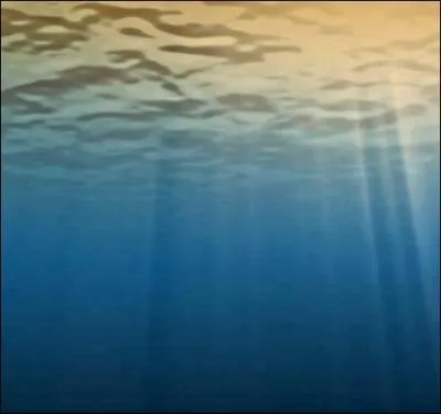 Pourquoi l'eau de mer est-elle trouble ?