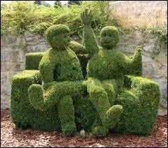 Votre compagnon plante du buis dans le jardin, que veut-il vous dire ?