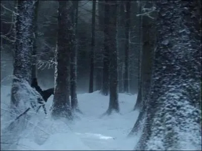 Quelle garantie la décision de rejoindre la Garde de Nuit (Night's Watch) offre t-elle en échange de risquer sa vie ?