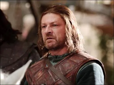 Au commencement de la série, quels sont les titres d'Eddard Stark ?
