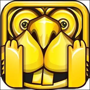 Comment s'appelle ce jeu ?