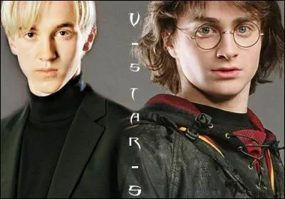 Qui est l'ennemi d'Harry depuis qu'ils se sont rencontrs  la rentre de leur premire anne ?