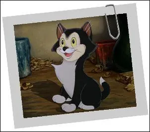 Dans quel film avons-nous connu ce petit chat ?