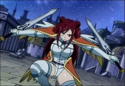 Quel est le nom de cette armure ?