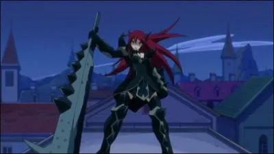 Quel est le nom de cette armure ?