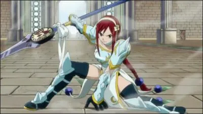 Quel est le nom de cette armure ?