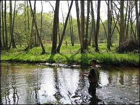 Je ne viens pas du dpartement de/du ----------, moi, le ---------- qui flne sur les bords de la Sauldre.