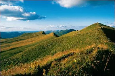 Je n'ai pas mes anctres dans le dpartement de ----------, moi, le ---------- qui participe au Festival International des Arts de la Rue.