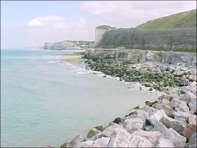 Je ne viens pas du dpartement de ----------, moi, le/l' ---------- qui arpente la Cte d'Albtre.