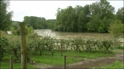 Je n'ai pas vu le jour dans le dpartement de/du ----------, moi, le ---------- qui aime dguster le kiwi de l'Adour.