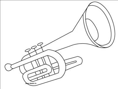 Quel est cet instrument ?