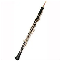 Quel est cet instrument ?