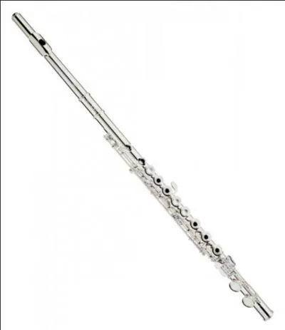 Quel est cet instrument ?