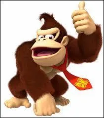 Quel est le nom de ce personnage de jeu vido ?