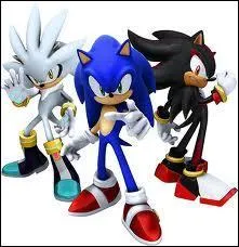 Quel est le nom de ce personnage de jeu vido qui n'est pas nomm : Sonic, Shadow ... ?