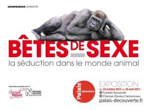 Quiz Animaux bizarres