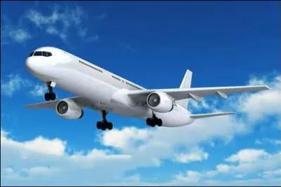 Si vous avez peur de l'avion, vous tes...