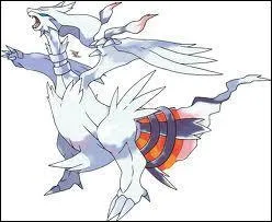 Combien d'attaques peut-il apprendre en tout ? (sans CT/CS)