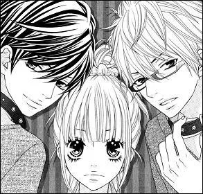 De quel Shjo viennent-ils ?