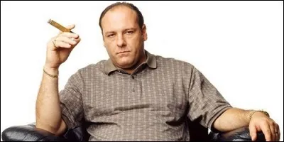 Dans "Les Soprano", qui est Tony Soprano ?