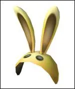  quoi sert ce masque ?