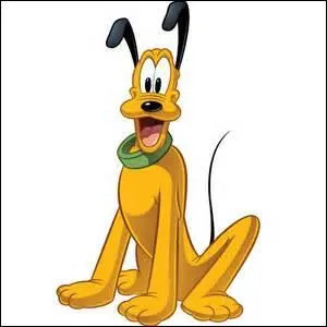 Comment s'appelle le chien de Mickey ?