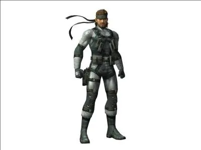 Qui est Snake ?