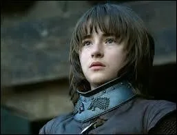 De quelle couleur est le loup de Bran ?