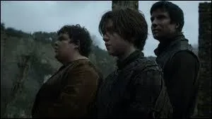 Comment s'appellent les compagnons d'Arya ?