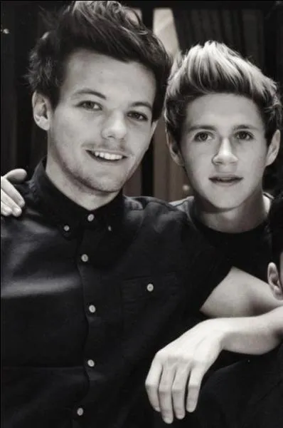 Niall aimerait ressembler  ...
