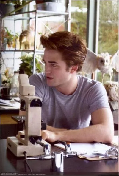 Dans quel cours sont-ils ?