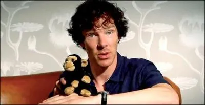 Comment s'appelle l'acteur qui interprte le rle de Sherlock Holmes dans la srie  Sherlock  diffuse sur France 4 ?