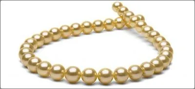 L'objet qui lui correspond le mieux est un...