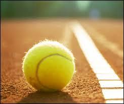 Quel type de sport est le tennis ?