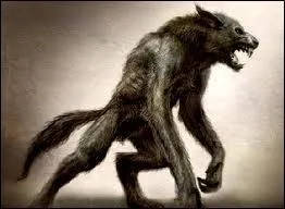 Qui sont les enfants du loup-garou ?