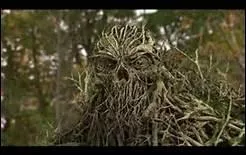 Qui est la fille du monstre du marais ?