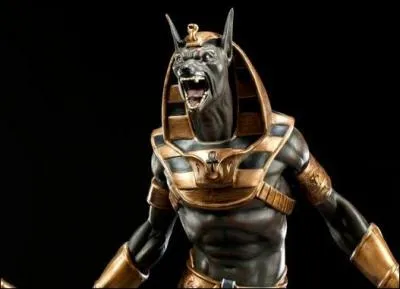 Le dieu Anubis a :