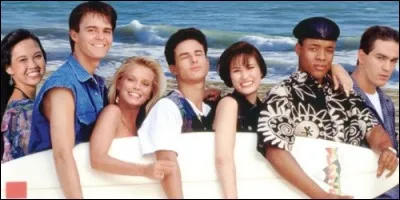 Cette série base son histoire sur un groupe d'adolescents d'origines ethniques diverses qui s'amuse et crée un groupe de musique sous le soleil de la Californie. Quel est le titre de cette sitcom ?