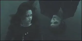 Quand Bella plonge du haut de la falaise, qui voit-elle dans les eaux troubles ?