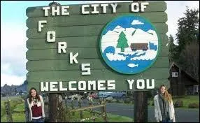 Quelle vision ramne Alice  Forks ?