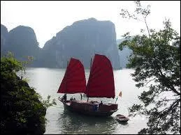 Comment s'appelle le seigneur des pirates chinois qui nomme Elisabeth capitaine de la jonque ?