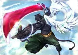 Arc Edolas - Qui combat Panther Lily ?