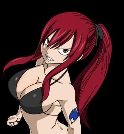 Arc le Tenr - Erza combat...
