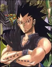 Arc Phantom Lord - Qui a combattu Gajil ?