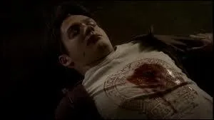 Qu'apprend Elena qui la dvaste ?